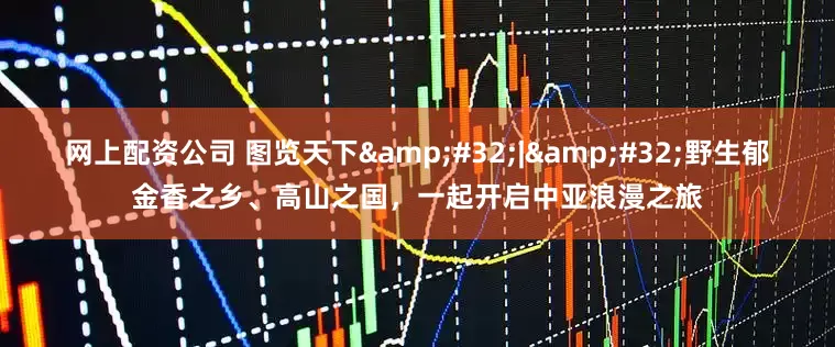 网上配资公司 图览天下&#32;|&#32;野生郁金香之乡、高山之国，一起开启中亚浪漫之旅