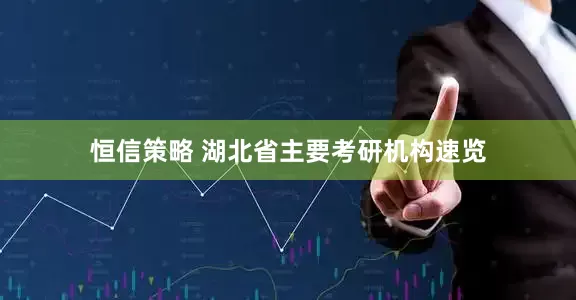 恒信策略 湖北省主要考研机构速览